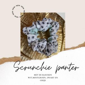 118659071_1017089988750504_1478744532968620614_n